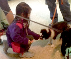 Puppy getting treats from a little girl.